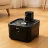 Fontaine à eau DownyPaws - Inox anti-bactérien, zéro fil